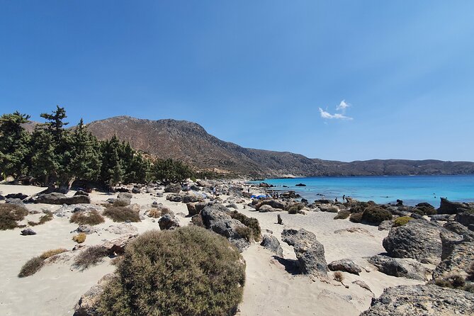 Full-Day Private Tour in Elafonisi Pink Beach - Exploring Elafonisi Pink Beach