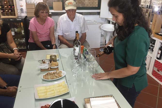 Full Day Private Tour in Évora and Monsaraz - Customizing the Experience