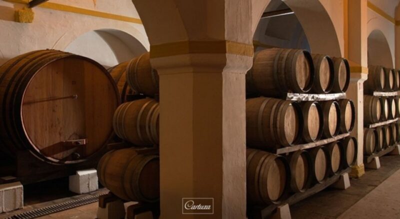 Full-Day Private Tour in Évora With Winery Tour From Lisbon - Key Points