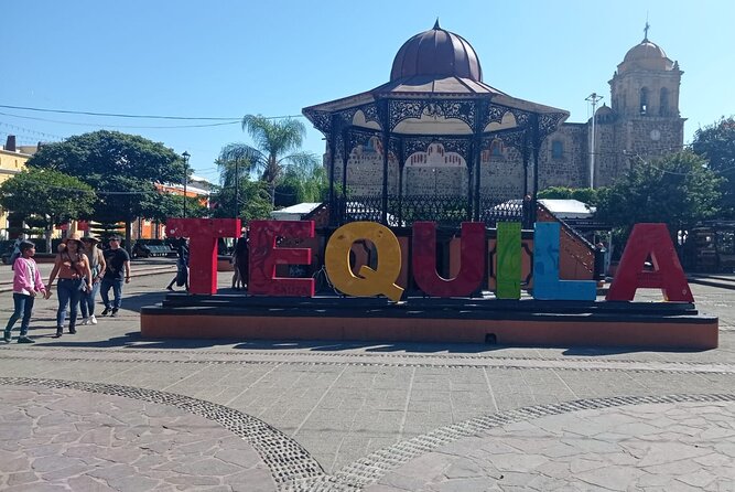 Full-Day Private Tour in Guadalajara - Transportation and Amenities