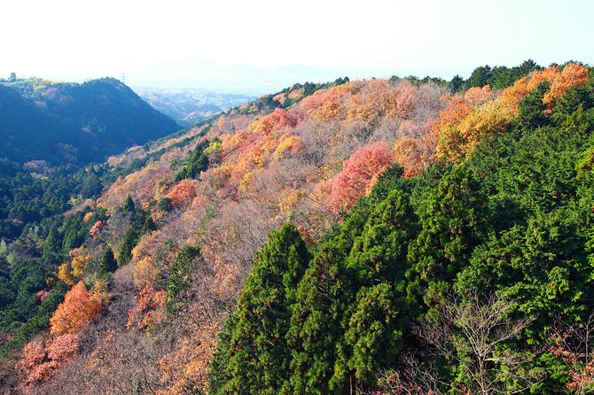 Full Day Private Tour in Hakone - Cancellation Policy