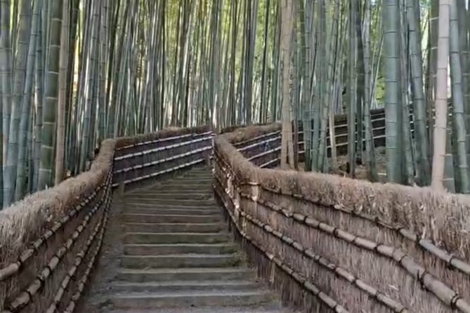 Full Day Private Tour in Kyoto - Accessibility Restrictions