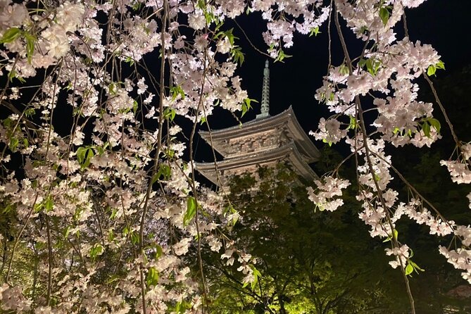 Full Day Private Tour in Kyoto With Pickup - Accessibility and Participation