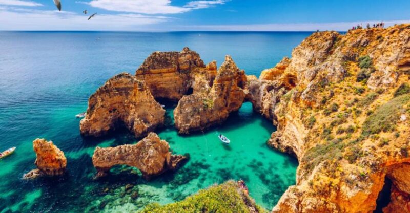 Full-Day Private Tour in Lagos and Benangil From Lisbon - Tailored Tour Experience
