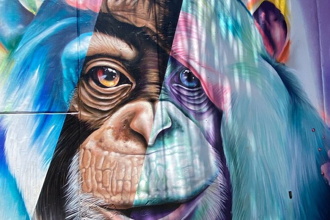 Full Day Private Tour in Medellin + Optional Spanish Class - Exploring Medellins Vibrant Neighborhoods