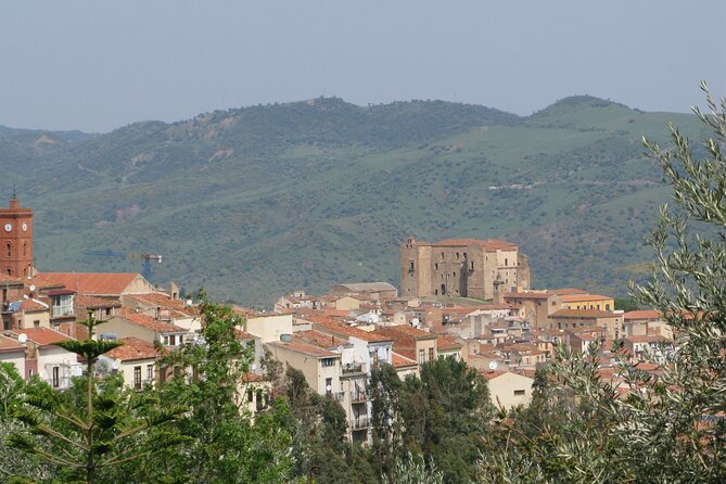 Full Day Private Tour in Medieval Villages and Vineyard in Cefalù - Accessibility and Participation