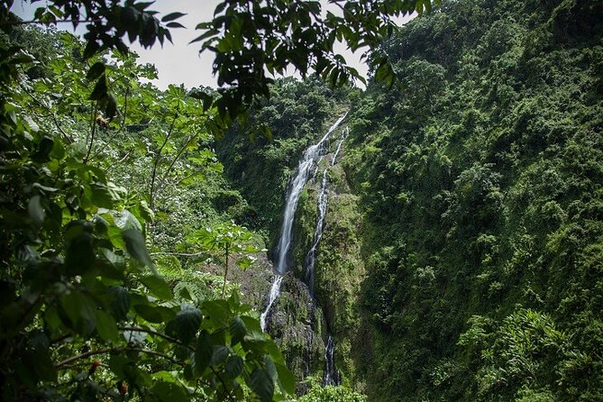 Full-Day Private Tour in Miches and La Jarda Waterfall Experience - About Your Stay
