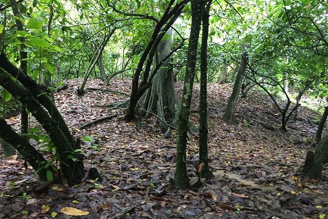 Full-Day Private Tour in Miches and La Jarda Waterfall Experience - Pickup Information