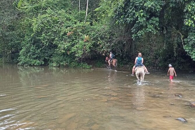 Full-Day Private Tour in Miches and La Jarda Waterfall Experience - Booking Your Stay