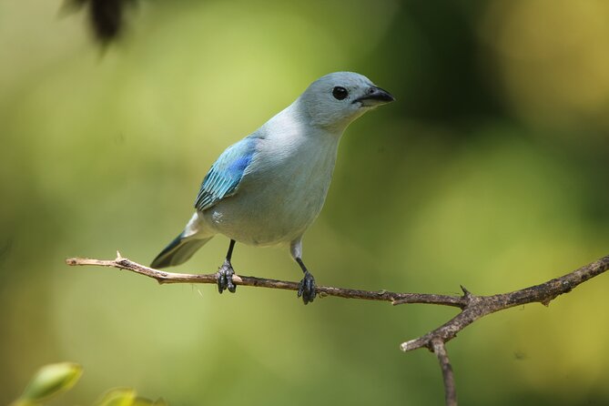 Full Day Private Tour in Monteverde, Costa Rica - Spectacular Scenic Views