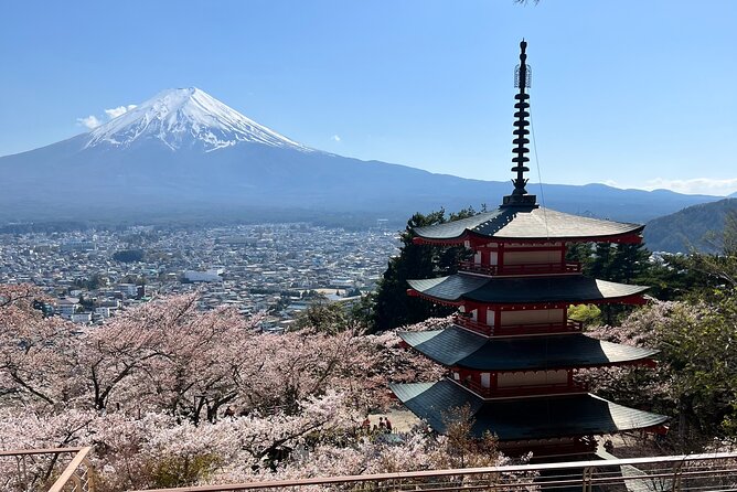 Full Day Private Tour in Mount Fuji and Hakone - Pricing and Cancellation