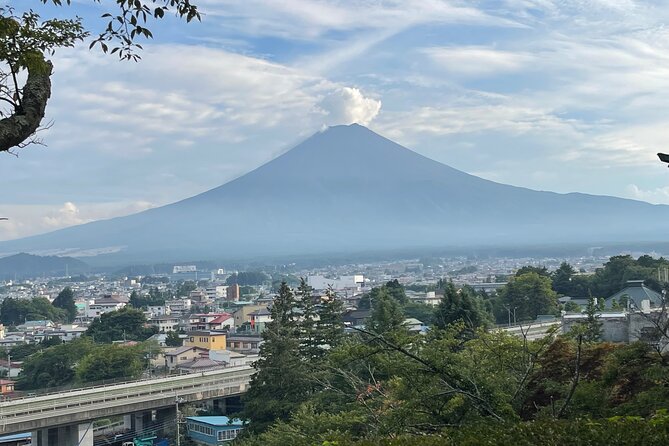Full Day Private Tour in Mount Fuji and Hakone - Accessibility Features