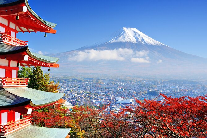 Full Day Private Tour in Mt. Fuji and Hakone - Wheelchair and Stroller Accessibility