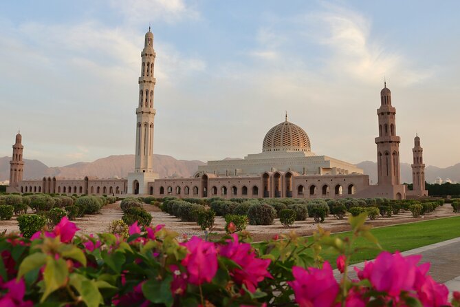 Full Day Private Tour in Muscat - Key Points