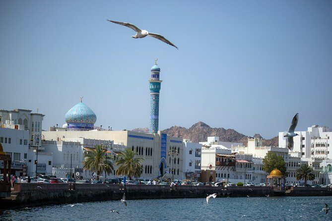 Full Day Private Tour in Muscat - Accessibility and Participation
