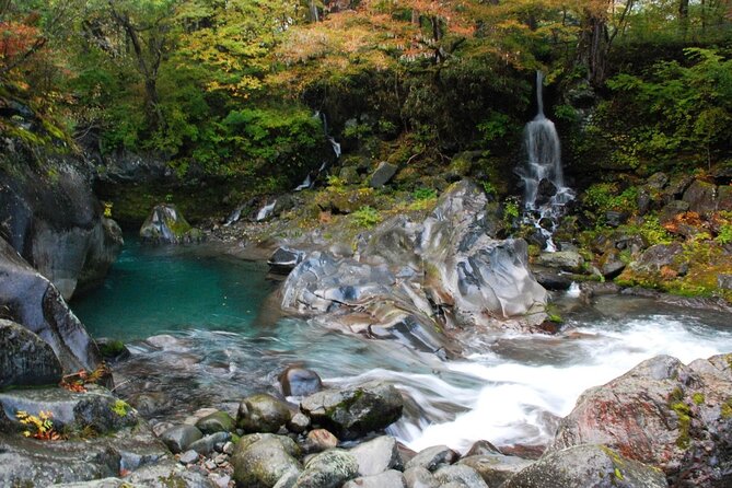 Full-Day Private Tour in Nikko Japan English Speaking Driver - Reviews