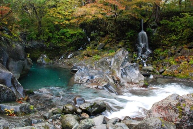 Full-Day Private Tour in Nikko Japan English Speaking Driver - Frequently Asked Questions