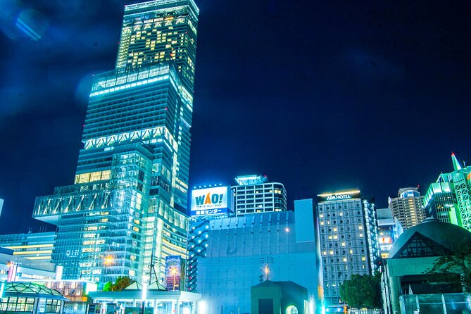 Full Day Private Tour in Osaka City With English Speaking Driver - Tour Overview
