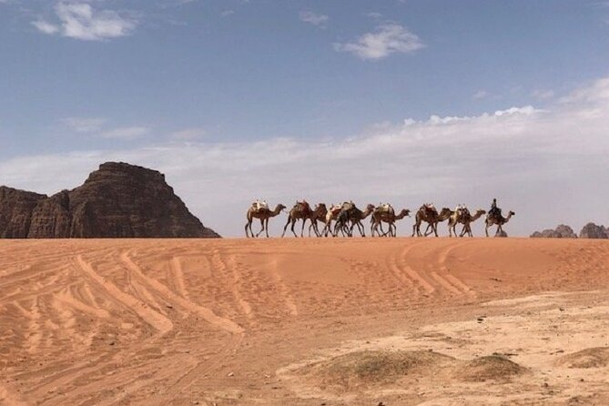 Full-Day Private Tour in Petra With Hotel Pick-Up - Optional Horse Ride Opportunity