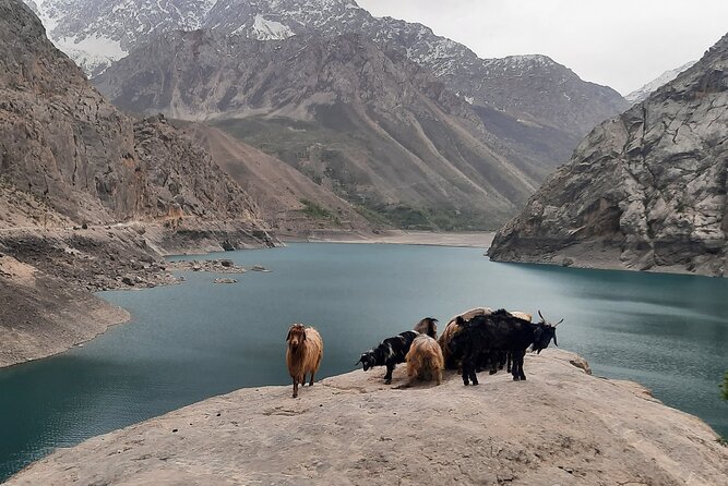 Full Day Private Tour in Seven Lakes From Samarkand - Tour Inclusions and Logistics