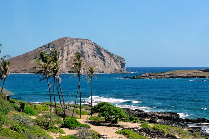 Full-Day Private Tour in South Shore of Oahu With Local Guide - Halona Blowhole: A Natural Wonder