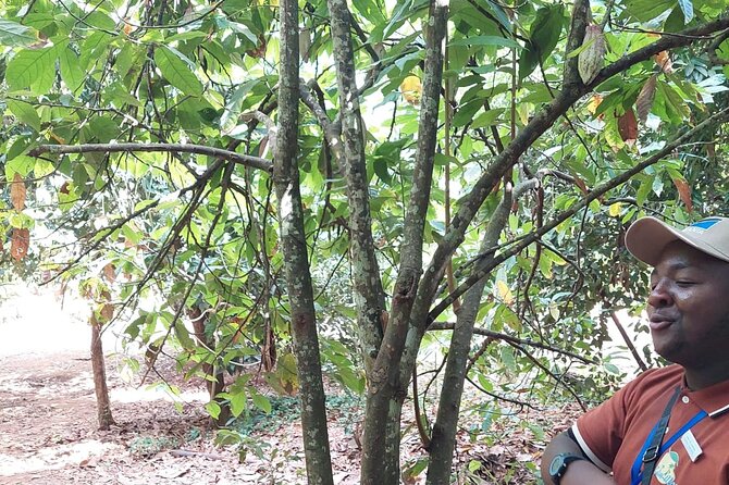 Full Day Private Tour in Stone Town+Prison Island and Spice Farm - Recap