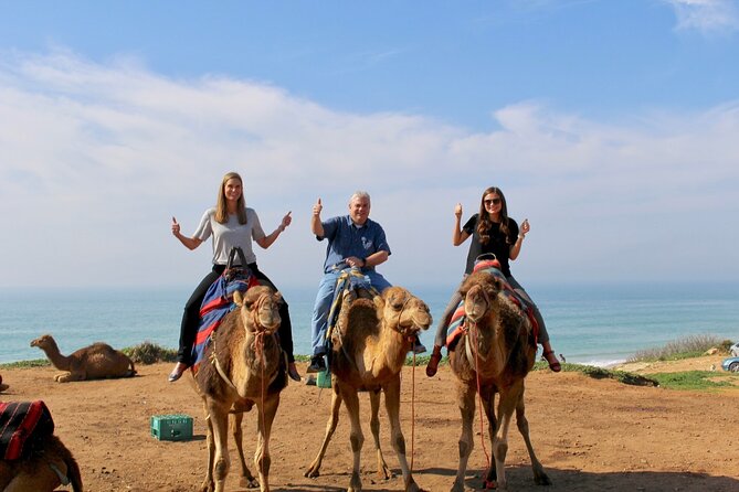 Full Day Private Tour in Tangier - Pickup and Meeting Points