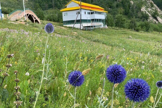Full Day Private Tour in Terelj National Park with Horse Riding - FAQ