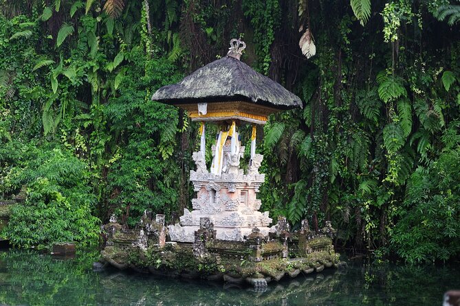 Full-day Private Tour in Ubud - Accessibility and Participation