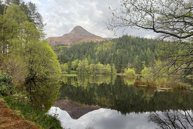 Full Day Private Tour in West Highlands, Oban and Glencoe - Traveler Reviews