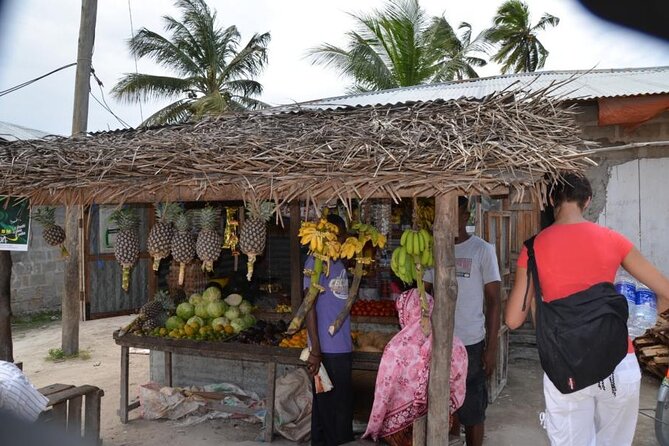 Full-Day Private Tour in Zanzibar With Baraka Aquirium - Key Points