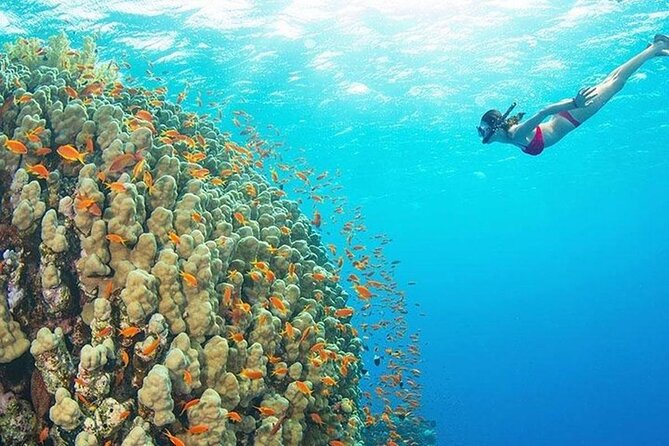Full-Day Private Tour in Zanzibar With Baraka Aquirium - Meeting and Pickup