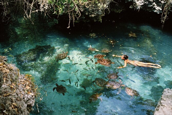 Full-Day Private Tour in Zanzibar With Baraka Aquirium - Highlights