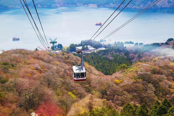 Full Day Private Tour Mt. Fuji, Hakone and Lake Ashi - Private Transportation