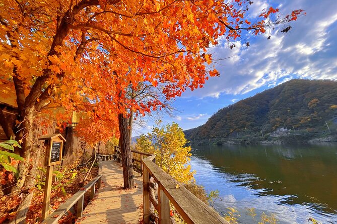Full Day Private Tour Nami Island, Garden & Petite France - Exploring the Garden of Morning Calm