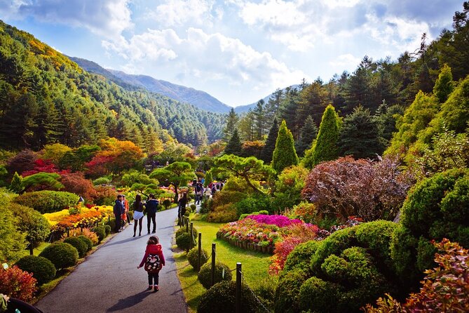 Full Day Private Tour Nami Island, Garden & Petite France - Discovering Petite France
