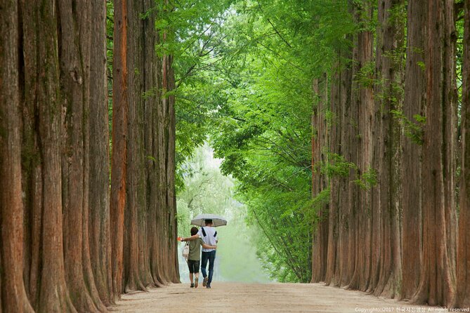 Full Day Private Tour Nami Island, Garden & Petite France - Tour Pricing and Cancellation Policy