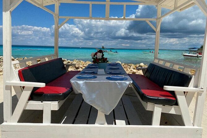 Full Day Private Tour of Bayahibe, Cotubanamá and Saona Island - What Travelers Say