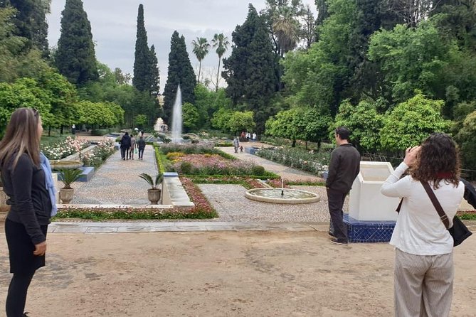 Full-Day Private Tour of Fez - Visiting Mosques and Madrasa