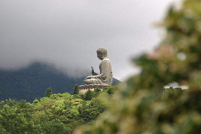 Full-Day Private Tour of Lantau Island Including Big Buddha and Tai O - Meeting and Pickup