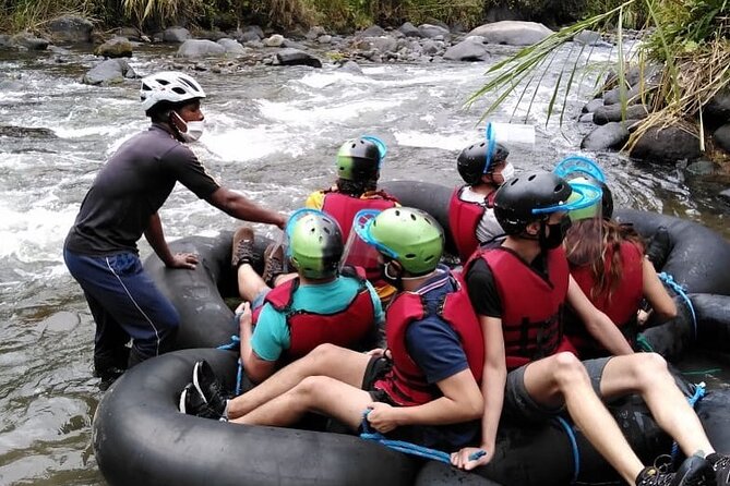Full-Day Private Tour of Mindo Cloud Forest - Traveler Reviews and Feedback