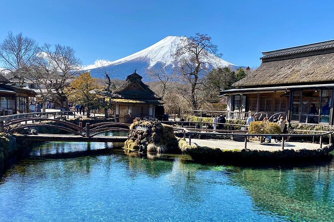 Full Day Private Tour of Mt Fuji and Hakone - Customization and Reservations
