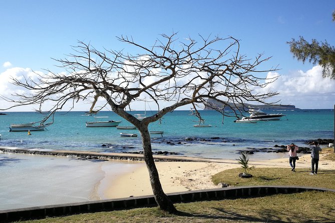 Full-Day Private Tour of Northern Mauritius - Review Highlights