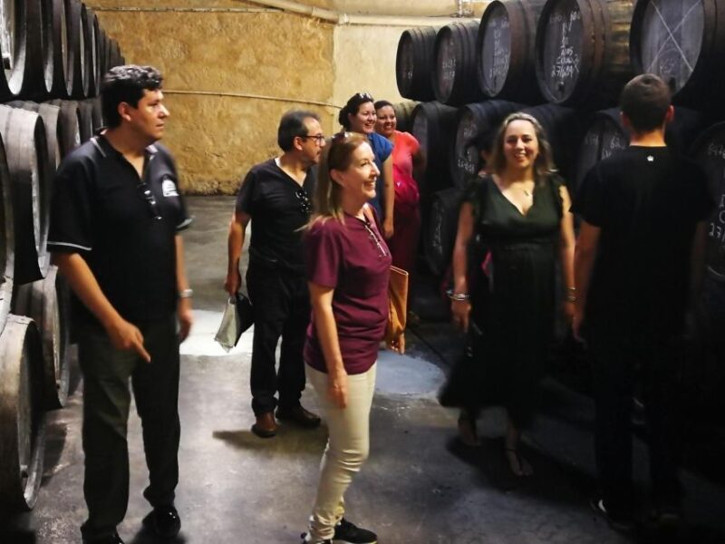 Full Day Private Tour of Olive Oil , Salt Flats and Winery - Olive Oil Workshop Highlights