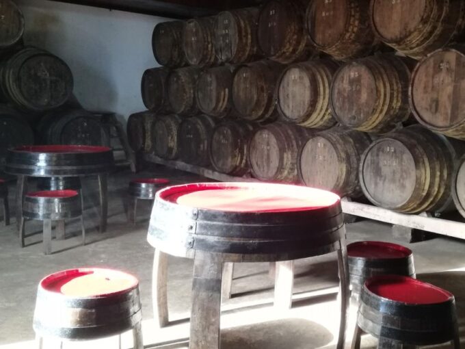 Full Day Private Tour of Olive Oil , Salt Flats and Winery - Participant Information