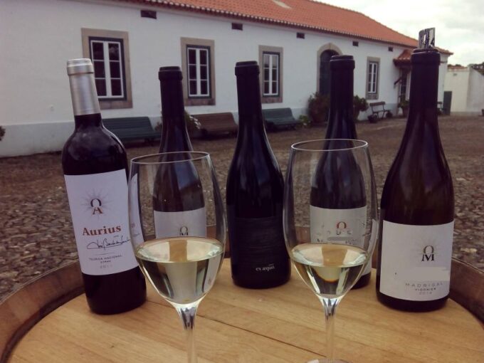 Full Day Private Tour of Olive Oil , Salt Flats and Winery - Customer Feedback