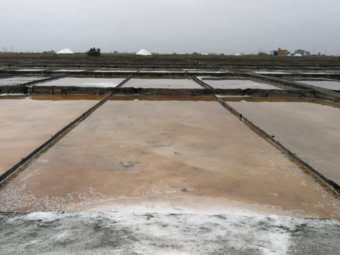 Full Day Private Tour of Olive Oil , Salt Flats and Winery - Frequently Asked Questions
