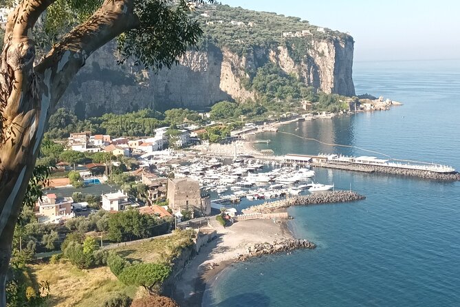 Full-Day Private Tour of Positano, Sorrento and Pompeii From Naples - Cancellation Policy