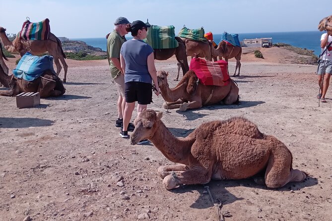 Full Day Private Tour of Tangier - Infant Accommodations