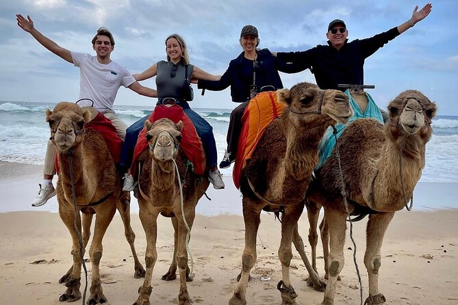 Full Day Private Tour of Tangier - Included Experiences
